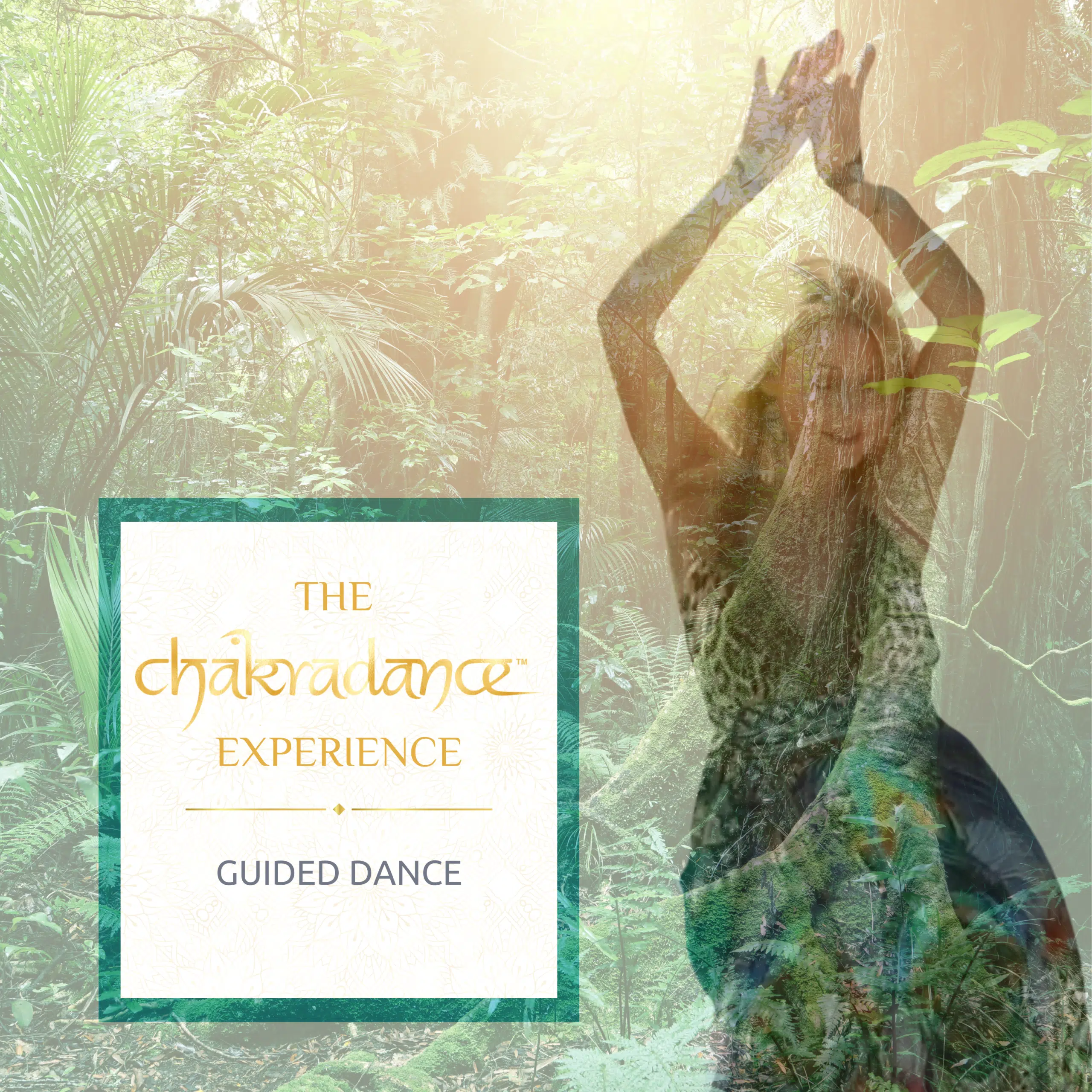 The Chakradance Experience